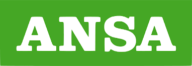 Logo Ansa.png